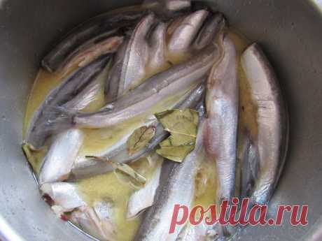 Pesce in salamoia! Con aceto di senape e di sidro di mele. Le poisson saumuré! Avec le vinaigre de cidre de pomme et moutarde. Marinated fish, with mustard and apple cider vinegar. Маринованная рыба!С горчицей и яблочным уксусом.