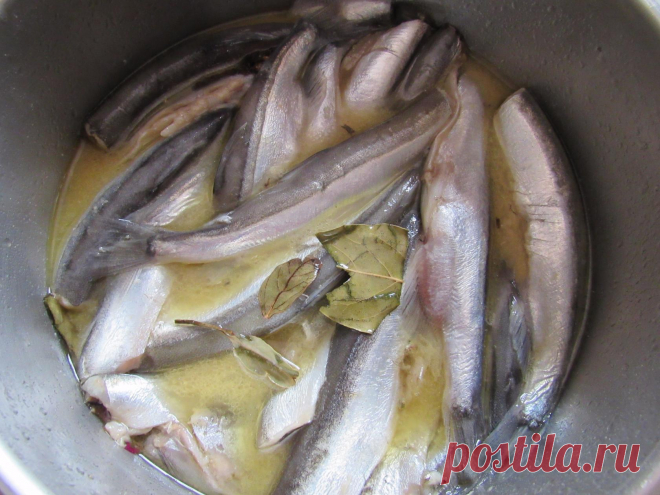 Pesce in salamoia! Con aceto di senape e di sidro di mele. Le poisson saumuré! Avec le vinaigre de cidre de pomme et moutarde. Marinated fish, with mustard and apple cider vinegar. Маринованная рыба!С горчицей и яблочным уксусом.