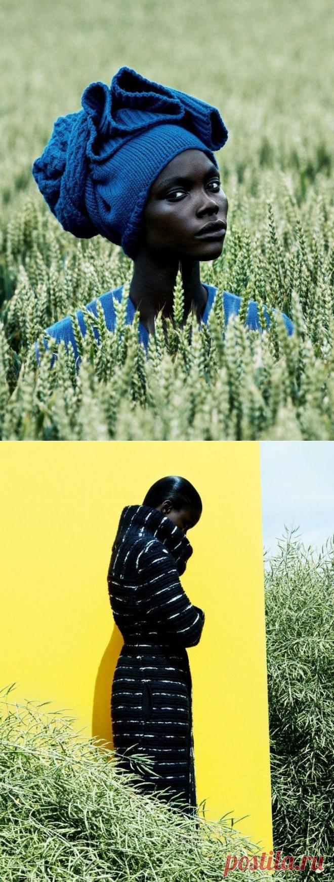 Гармония в сочетании цветов и текстур в серии фотографий от Джулии Нони.