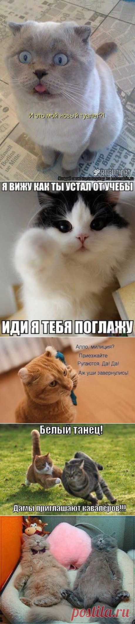 пп