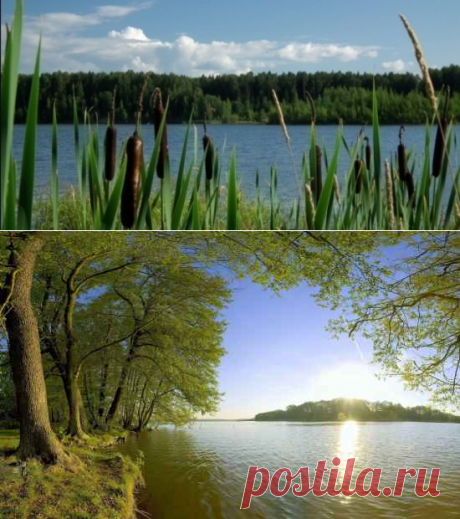 НЕМАЯ ЛЮБОВЬ
Жил-был в одном поселке глухонемой парень по имени Виктор. Жили они вдвоем с матерью. Парень был красив собой, силен и отличался веселым нравом и добротой. У него были светло-русые волосы и небесно-голубые глаза.

В то время ему было лет двадцать пять. Работал он на заводе, силу имел огромную – стокилограммовые мешки кидал, как камешки. А еще он очень любил женское общество.

Завидев молодую девушку, краснел, улыбался, посылал ей воздушные поцелуи. А когда она подходила ближе,