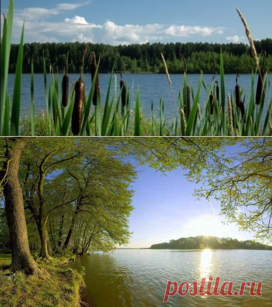 НЕМАЯ ЛЮБОВЬ
Жил-был в одном поселке глухонемой парень по имени Виктор. Жили они вдвоем с матерью. Парень был красив собой, силен и отличался веселым нравом и добротой. У него были светло-русые волосы и небесно-голубые глаза.

В то время ему было лет двадцать пять. Работал он на заводе, силу имел огромную – стокилограммовые мешки кидал, как камешки. А еще он очень любил женское общество.

Завидев молодую девушку, краснел, улыбался, посылал ей воздушные поцелуи. А когда она подходила ближе,