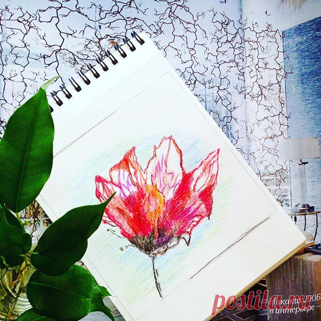 Цветку в рамке быть. Единорог сушится после стирки #рисунок #набросок #цветок #растение #цветныекарандаши #colorfull #flowers #poppy #art #artwork #instaart #artist #pencil #illustration #plant