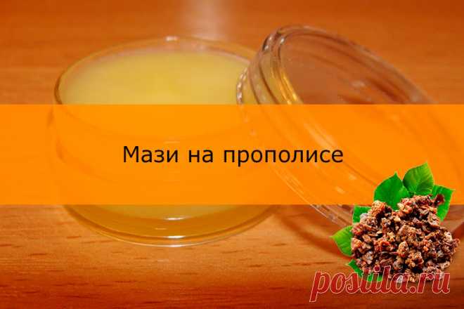 Мази на прополисе: с маслом, яйцом, вазелином, воском Прополис (пчелиный клей, уза) – смолистое вещество, используемое пчелами для постройки и обеззараживания улья. Пчелиный клей  применялся в народной медицине тысячи лет из-за антибактериальных и дезинфицирующих свойств. Уза используется для приготовления кремов и мазей, настоек, бальзамов, эликсиров…