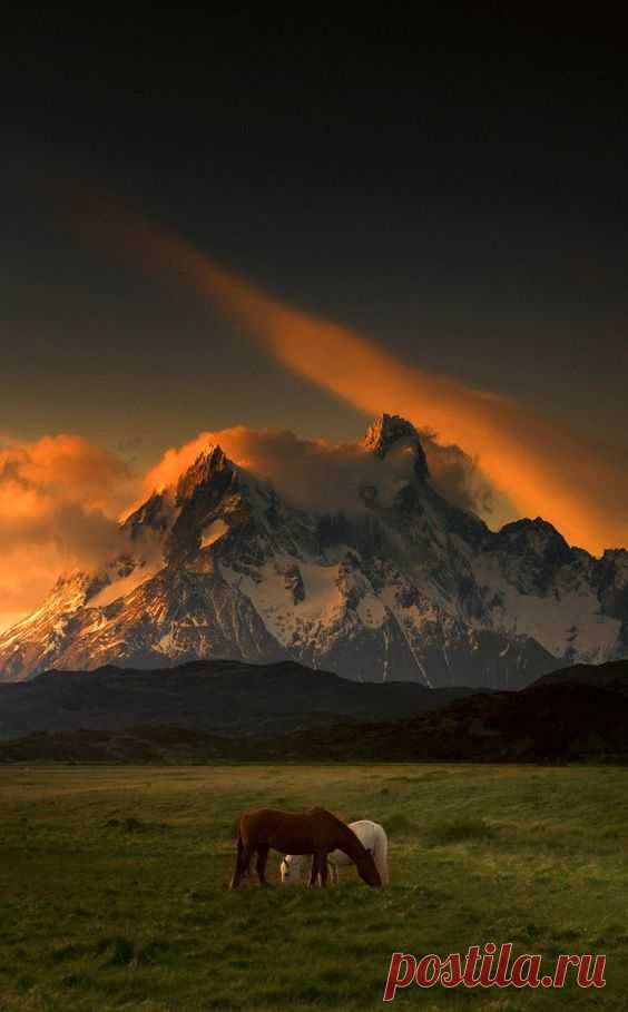 amazing-eagle:
“ colorel11:
“via
”
Wild
”