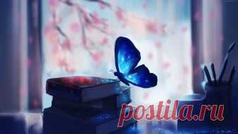 Кем ты станешь, когда вырастешь? (Дикая Собака Динго) / Стихи.ру