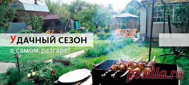 Как работать на даче правильно и без вреда для здоровья:советы и предложения Мейтан!!!
1.Работайте в удовольствие:
1.1.Био-стикер для тела «Чжи» №18 против гематом и синяков/ 5 шт.
1.2.Тибетский крем от усталости и тяжести в ногах
1.3.Специальный крем для быстрого снятия боли «Мгновенное облегчение»
