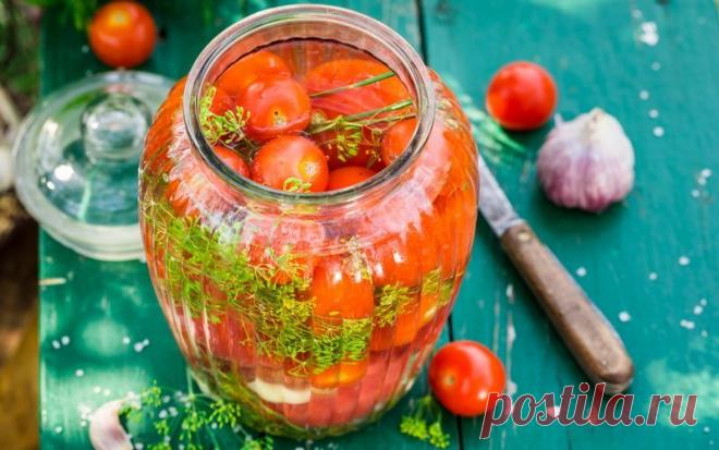 Как бочковые: квашеные помидоры с аспирином - Будет вкусно - 7 сентября - 43759444066 - Медиаплатформа МирТесен