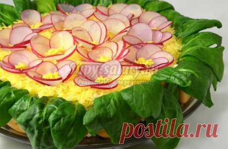 Салат с курицей и редисом. Фиалка. Рецепт с пошаговыми фото