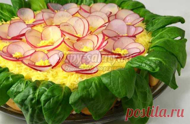 Салат с курицей и редисом. Фиалка. Рецепт с пошаговыми фото