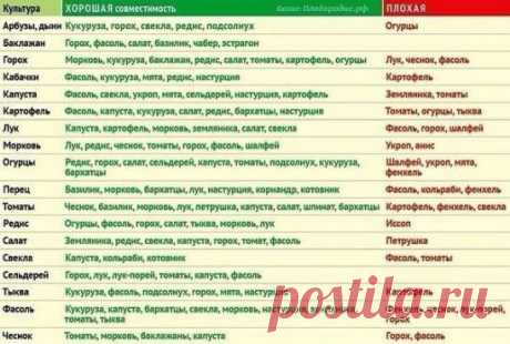 В смешанных посадках повышается урожайность садовых культур. Это связано с тем, что одни растения оказывают благотворное влияние на развитие других растений. Поэтому планировать смешанные посадки необходимо по таблице совместимости садовых культур.
смешанные посадки — это красиво. Благодаря ним скучные грядки моркови, капусты и лука превращаются в декоративные грядки.