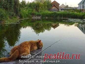 Татьяна Моисеева – Google+
