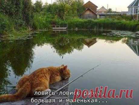 Татьяна Моисеева – Google+