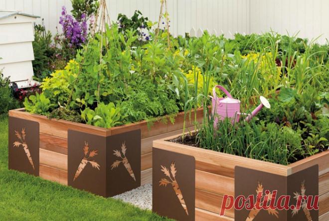 16 эргономичных грядок, которые хочется соорудить на своем участке, аж руки чешутся