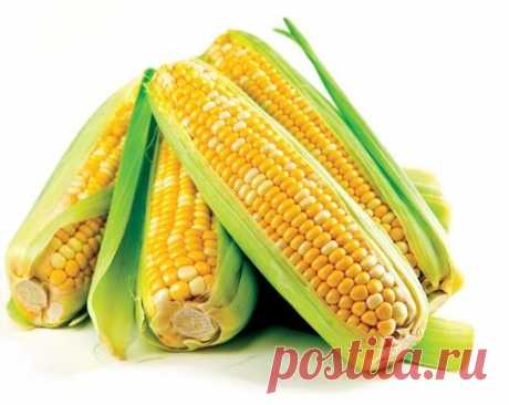Кукуруза и полезна и вкусна!