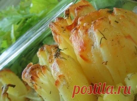 КАРТОФЕЛЬ ДОФИНЭ | NashaKuhnia.Ru