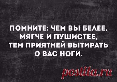 цитата