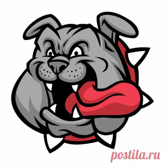 Аватарка бульдог в ошейнике. Эту и другие картинки и фото на аву высокого качества вы можете скачать на нашем сайте.