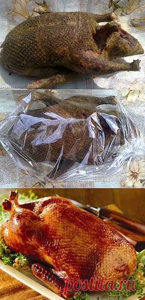 Утка в духовке рецепт по-домашнему..