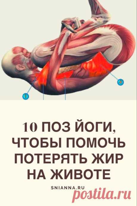 10 поз йоги, чтобы помочь потерять жир на животе. Давайте посмотрим на 10 простых поз йоги, которые помогут справиться с брюшным жиром. ➡️Кликайте на фото, чтобы прочитать статью полностью