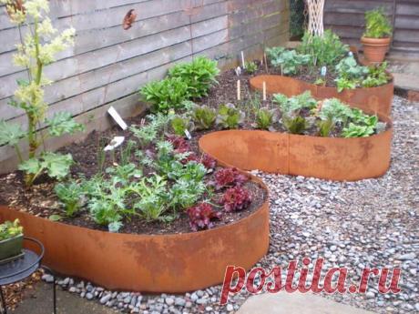 огорода и грядок с пряными травами.