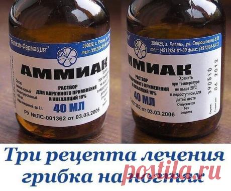 Одноклассники