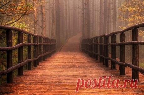 (17) Одноклассники