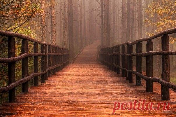 (17) Одноклассники