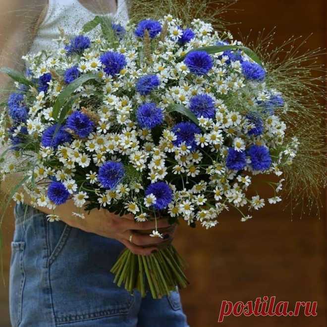 Всё пройдет, кроме Жизни… Жизнь пролетит…
Берегите то, что у вас есть, берегите то, что греет душу…
Отпустите зависть, ревность, гнев, и всё то, что может жизнь разрушить.
Наступает в вашей жизни такое время, когда вы отходите от драмы и людей, ее создающих. Вы окружаете себя людьми, с которыми вы смеетесь. Вы забываете плохое и фокусируетесь на хорошем. Любите людей, которые относятся к вам правильно, и молитесь за остальных.