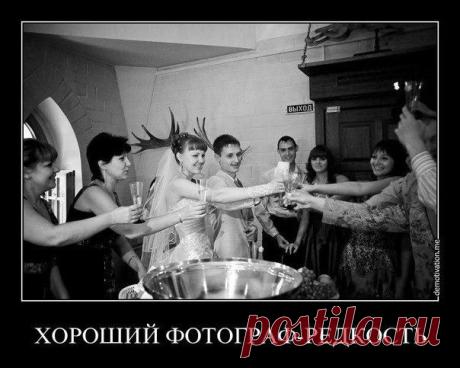 Море приколов и позитива ➨