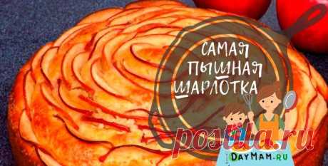 Пышная шарлотка с яблоками — 10 рецептов в духовке