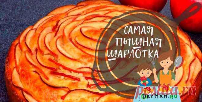 Пышная шарлотка с яблоками — 10 рецептов в духовке