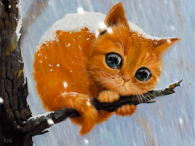 f777993e53901502784e6ce80112b06b.gif (640×480)