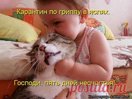 Котоматрица: Главная