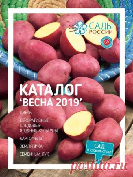 Семена и саженцы почтой от НПО Сады России (Сад и огород). Интернет-магазин посадочного материала.