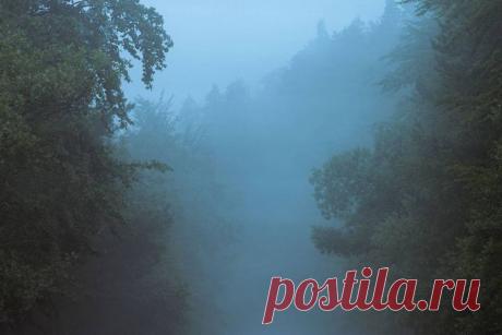 (&quot;Горе&quot; - Мэтью Дикман)
Mia Novakova #art
Когда горе приходит к вам в образе пурпурной гориллы,
вы должны считать, что вам повезло.
Вы должны предложить ей то, что осталось
от вашего ужина,книгу,которую вы пытались дочитать,
вы должны отложить в сторону,
и предоставить ей место,чтобы она могла присесть в изножье вашей кровати,
переводя взгляд с часов
на телевизор и обратно.
Я не боюсь.Она бывала здесь раньше,
и теперь я узнаю ее походку,
когда она приближается к дому