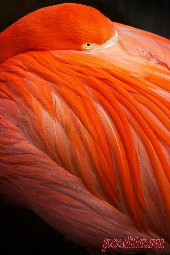 ❤