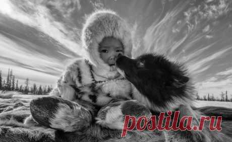 “Самая красивая страна”: победители 2017 | Фотоискусство