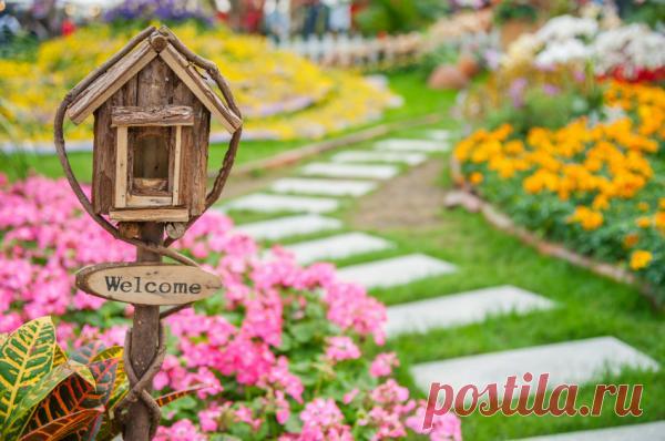 imagenes de mujeres tomando cafe con frases - Buscar con Google