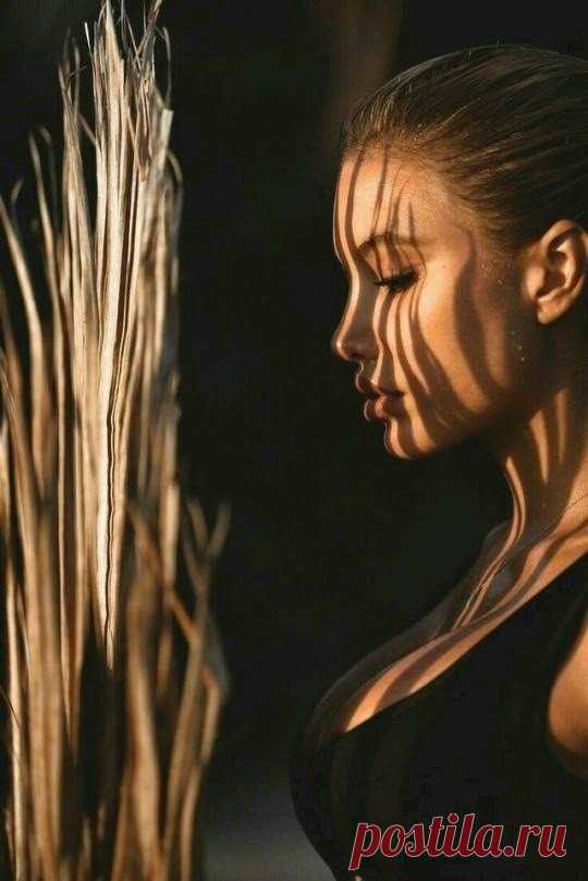 Lights and Shadows