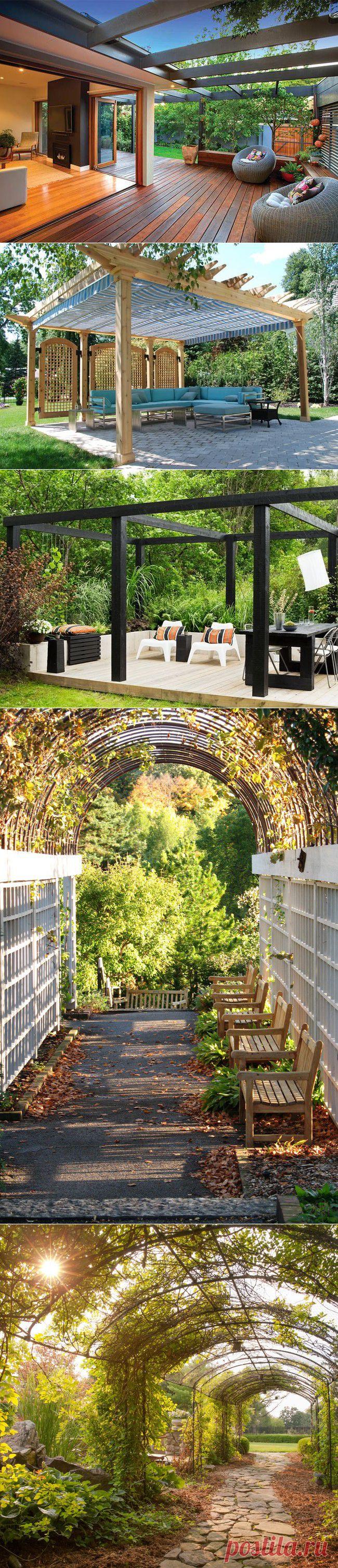 Пергола, красивая и эффектная деталь вашего участка.