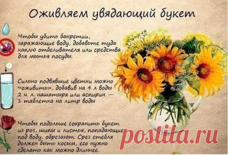 Полезные советы
