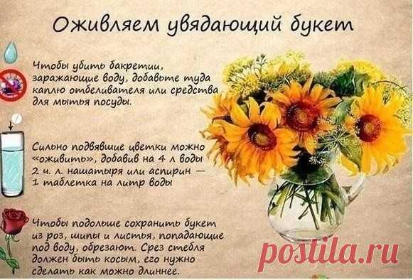 Полезные советы