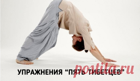 15-минутная гимнастика тибетцев для крепкого здоровья