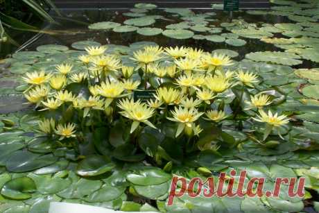 Редактировать описание