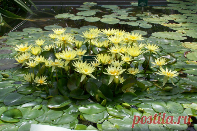 Редактировать описание