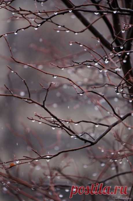 (2) Pinterest