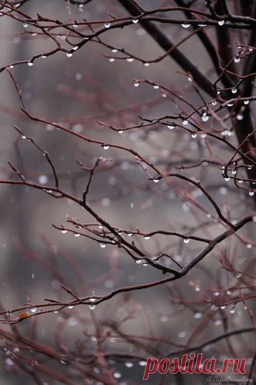 (2) Pinterest