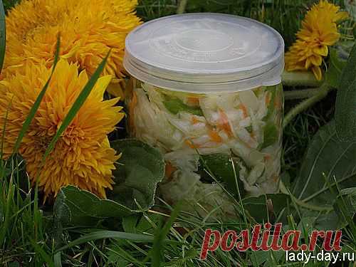 Салат из капусты на зиму | Простые рецепты с фото