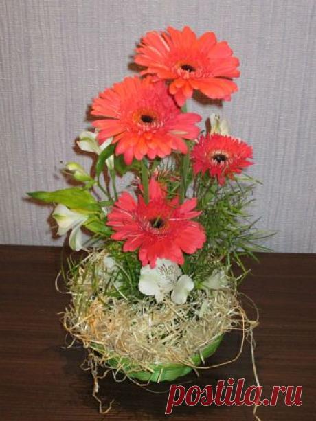 БУКЕТЫ ИЗ КОНФЕТ РЕКВИЗИТ ДЛЯ ФОТОСЕССИЙ
38 лет, Украина, Киев